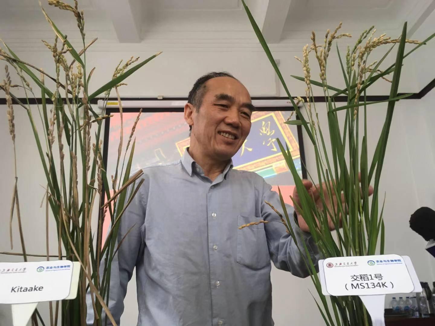新闻晨报