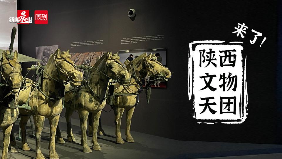 秦始皇陵兵马俑来上海“乘风凉”，太火了，市民预约参观人数已经超万！ - 周到
