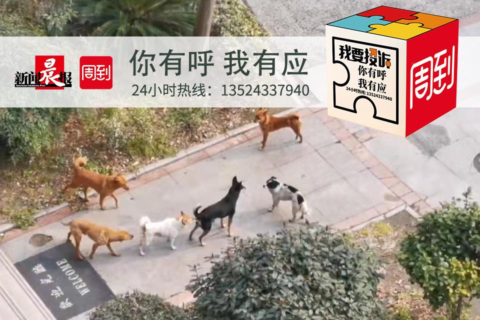 新闻晨报